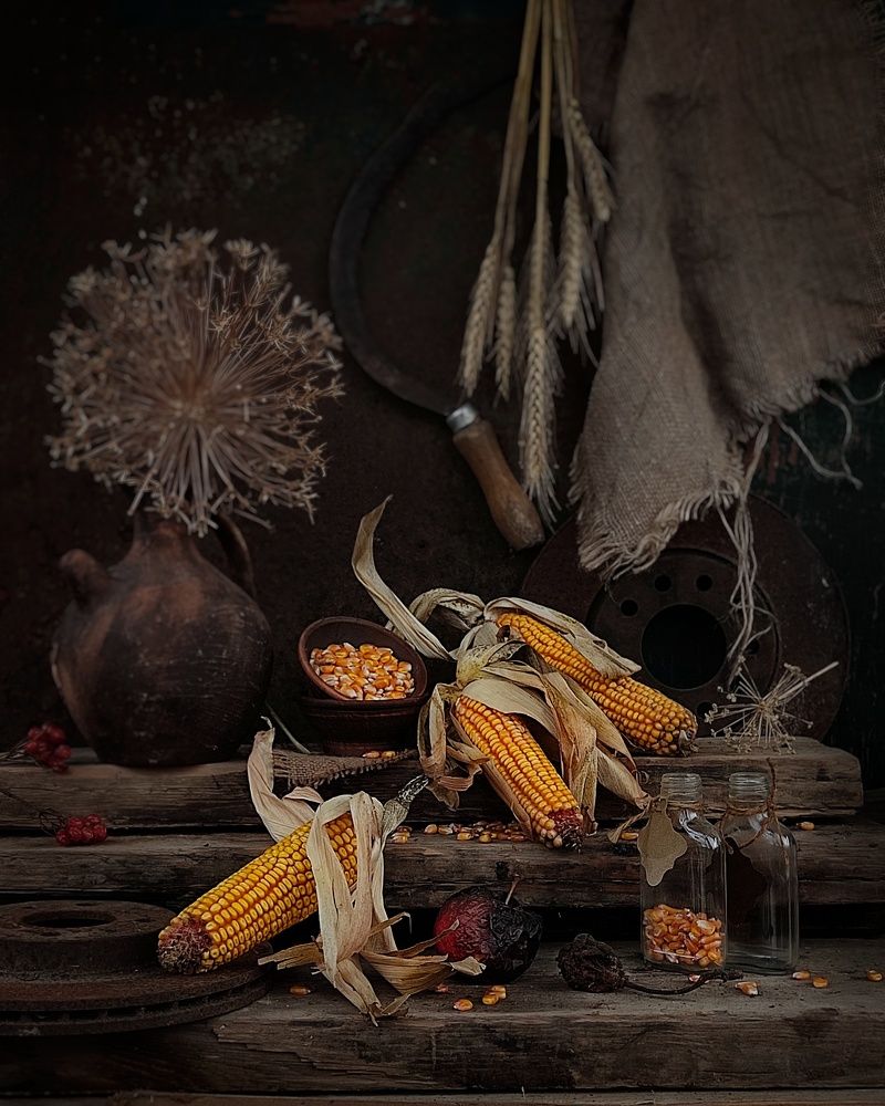 Фотография автора Инга Шевелёва