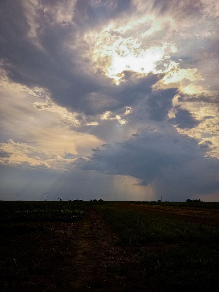 Фотография автора Алла Макаревич