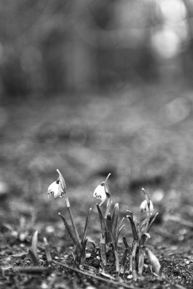 Photograph by Владимир Леликов-Кузьменко