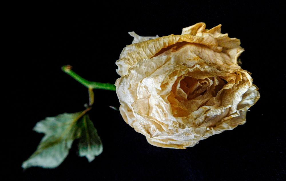 Photograph by HECTOR ANTONIO RAUCHS