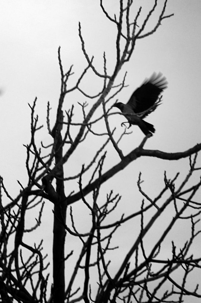 Photograph by Dimitris Lapousis