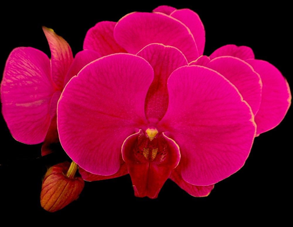 Photograph by HECTOR ANTONIO RAUCHS