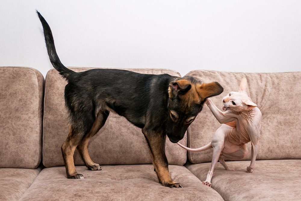 Photograph by Оксана Пучкова