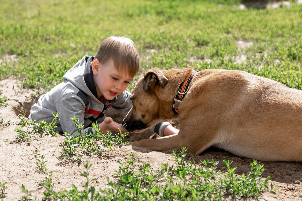 Photograph by Оксана Пучкова