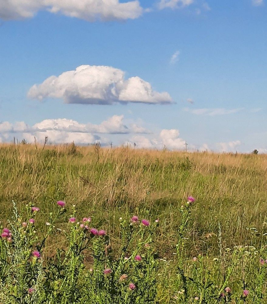 Photograph by Елена Горева