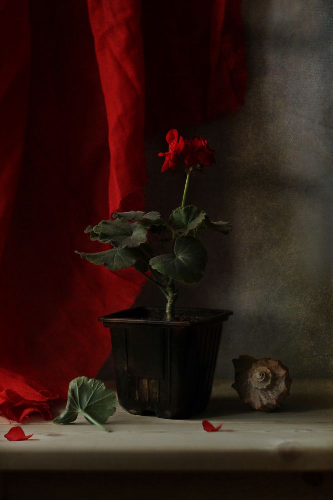 Photograph by Ольга Кочнева