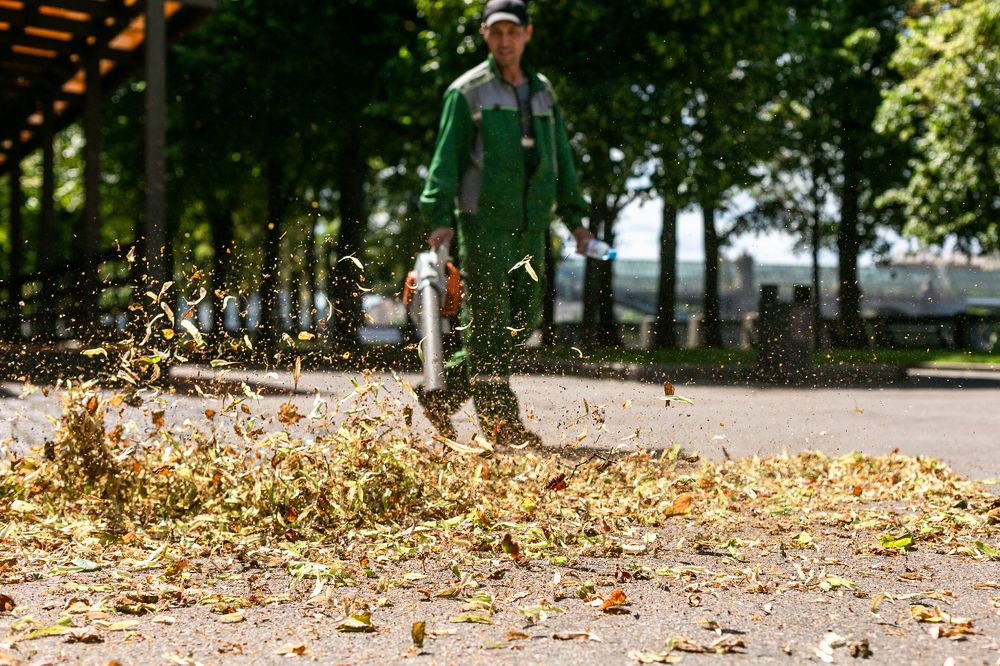 Photograph by Оксана Пучкова