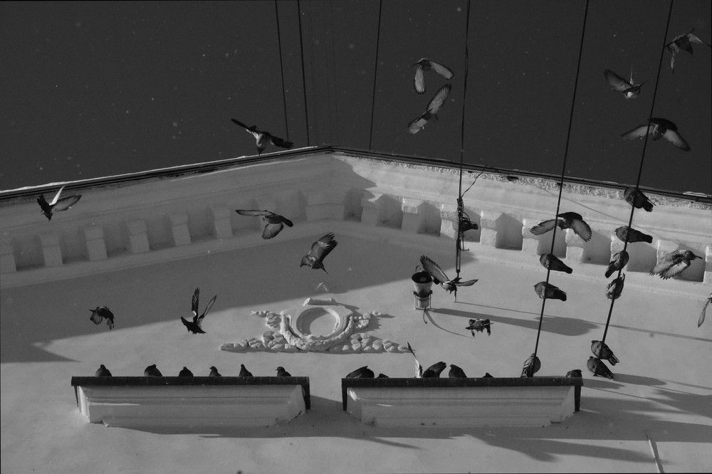 Photograph by Динара