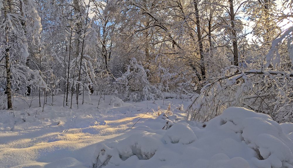 Photograph by Борис Новиков