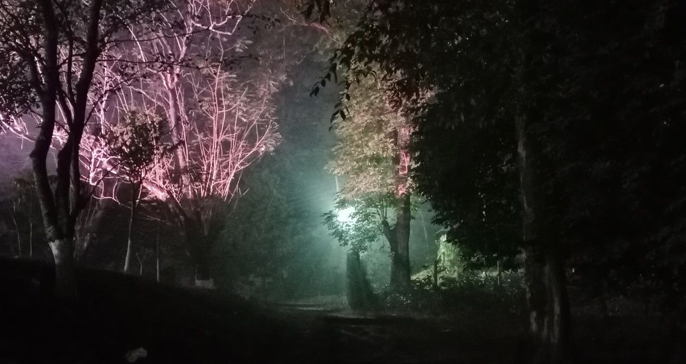 Photograph by Habib Simon