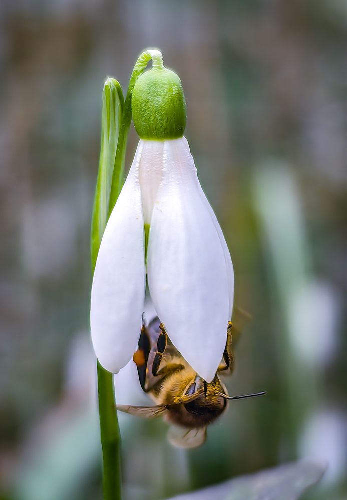 Photograph by Евгений Симион