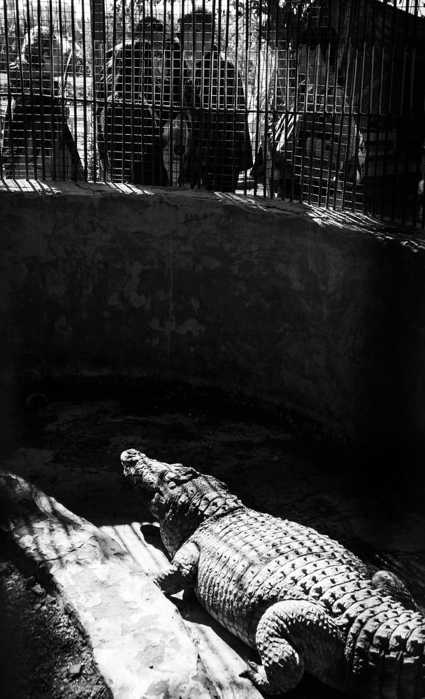 Photograph by Владислав Шаповалов