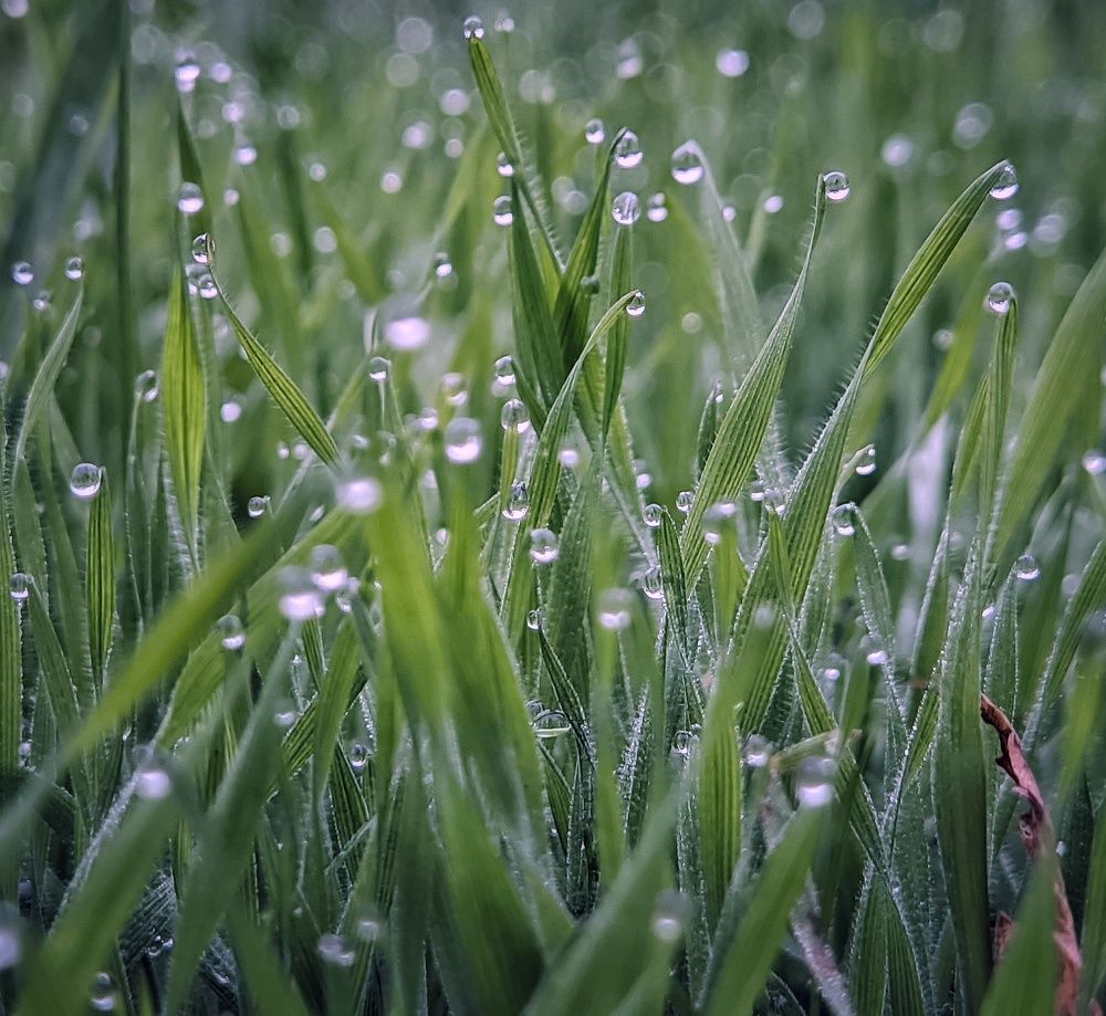 Photograph by Natalia Bolotenkova