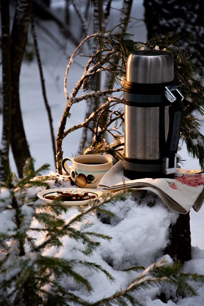 Photograph by Малютина Ксения