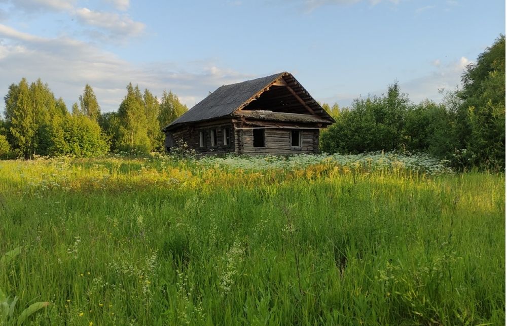 Деревня Быково, Костромская обл.  Деревня, которой давно нет.