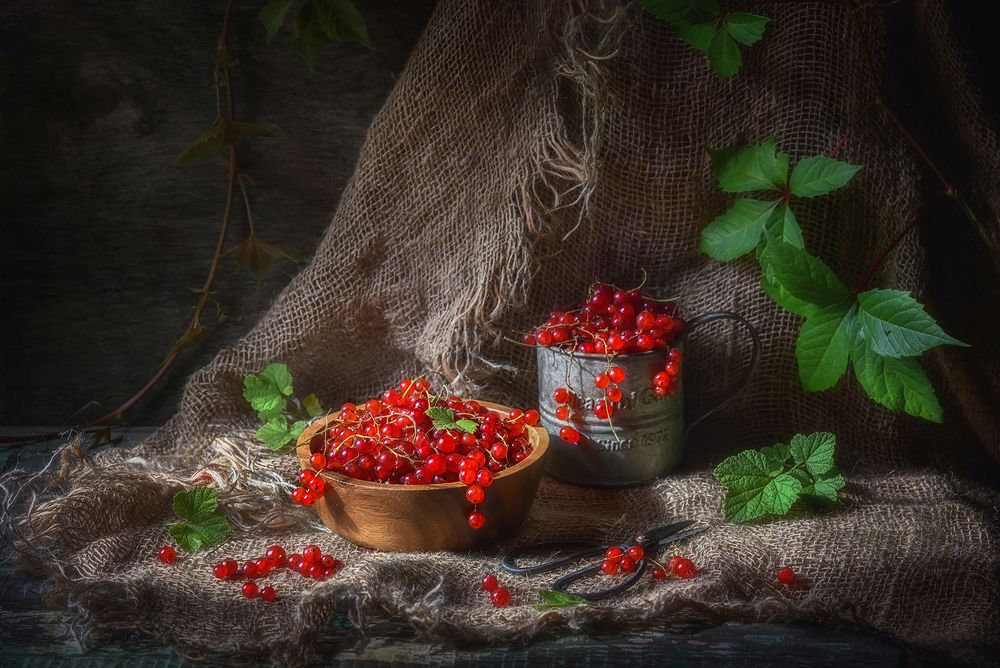 With red currant/С красной смородиной