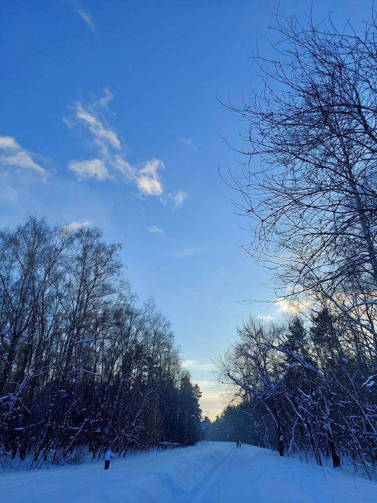 Photograph by Светлана Коршунова