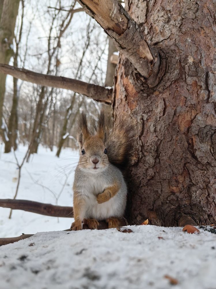 Photograph by Роман Алябьев