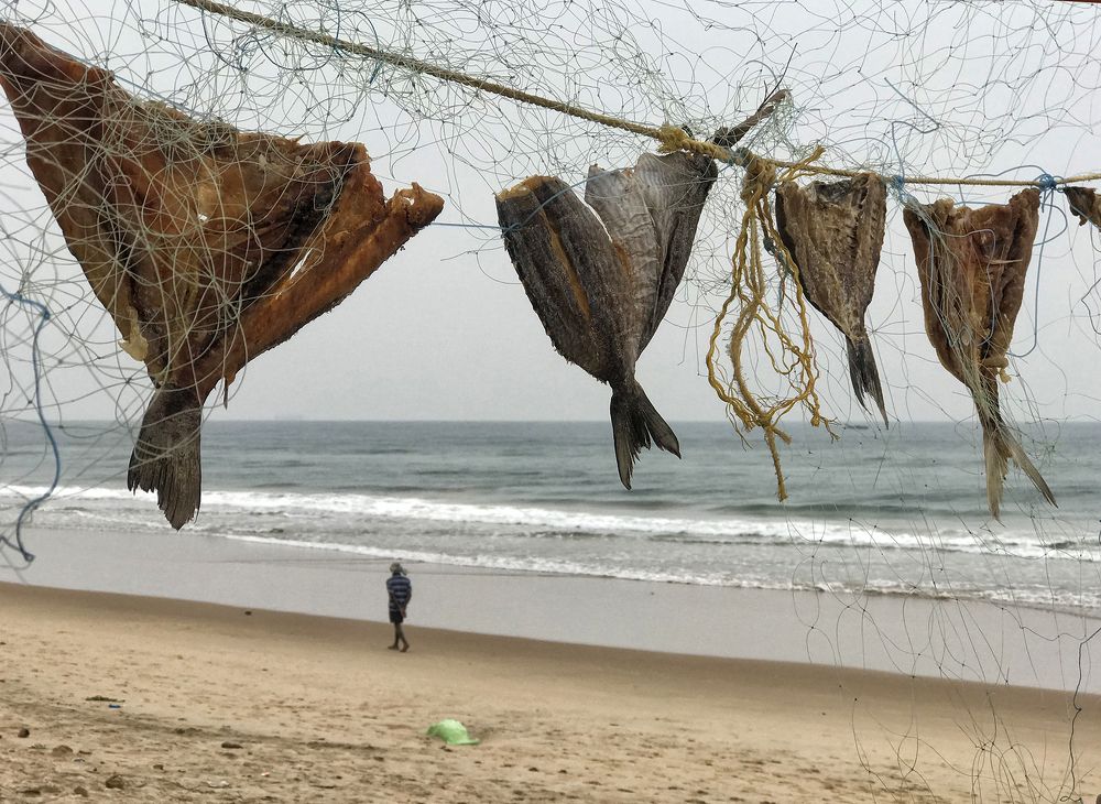 Photograph by Kaushik Dolui