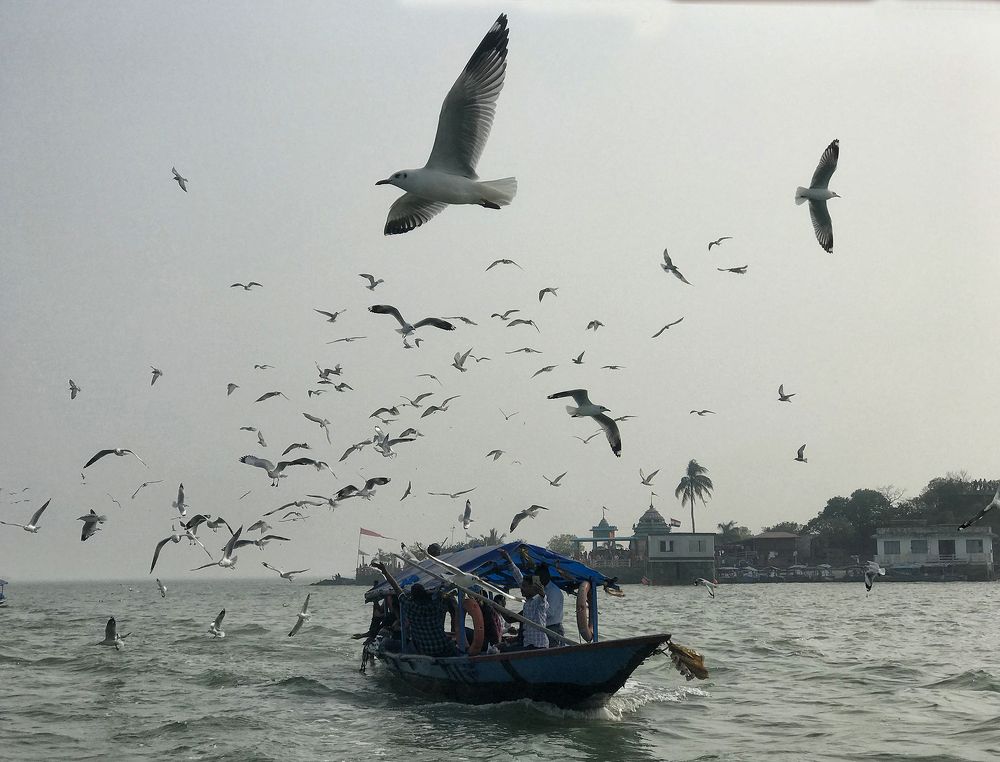 Photograph by Kaushik Dolui