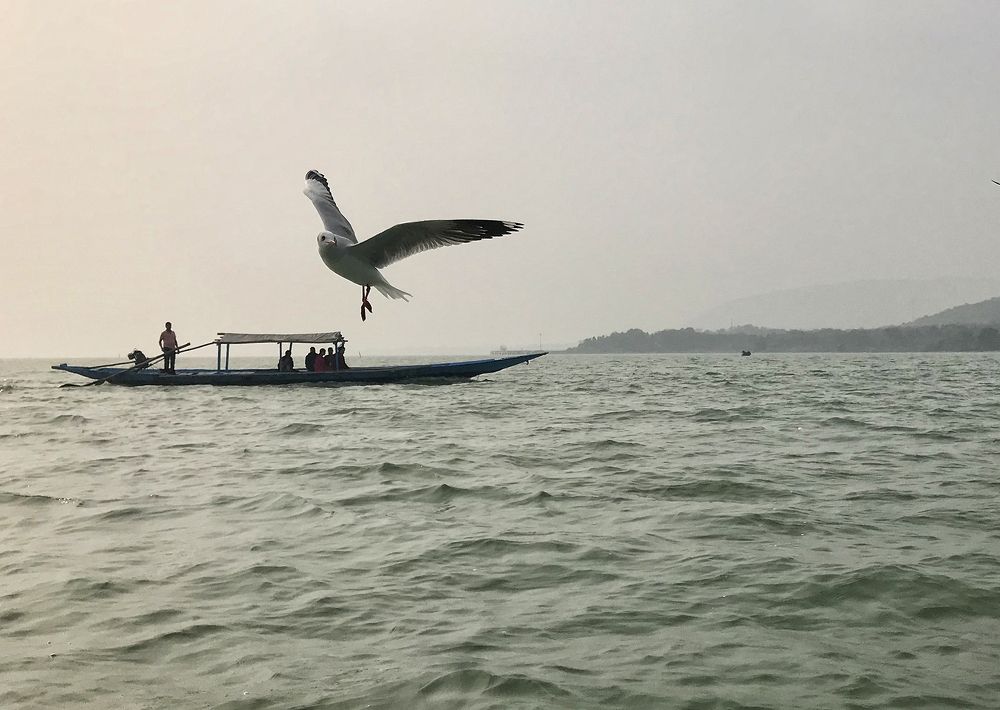 Photograph by Kaushik Dolui