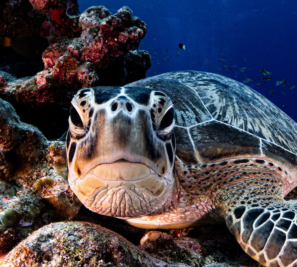 Photograph by Ceci Ver