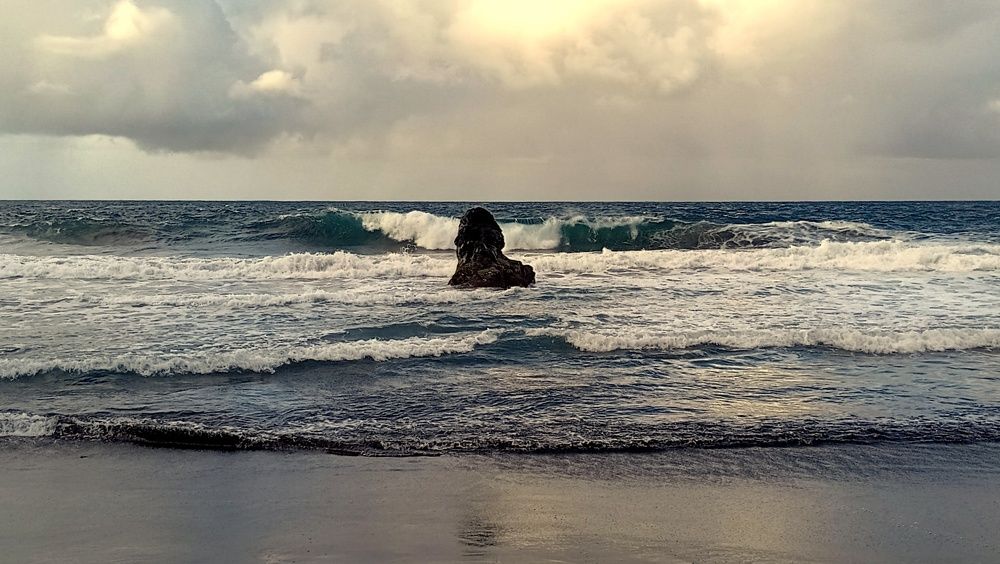 Photo #10282015