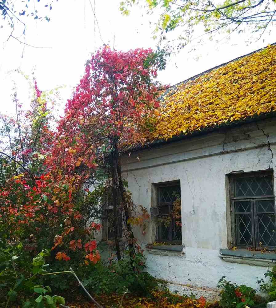 Фотография автора Галина Бобкина