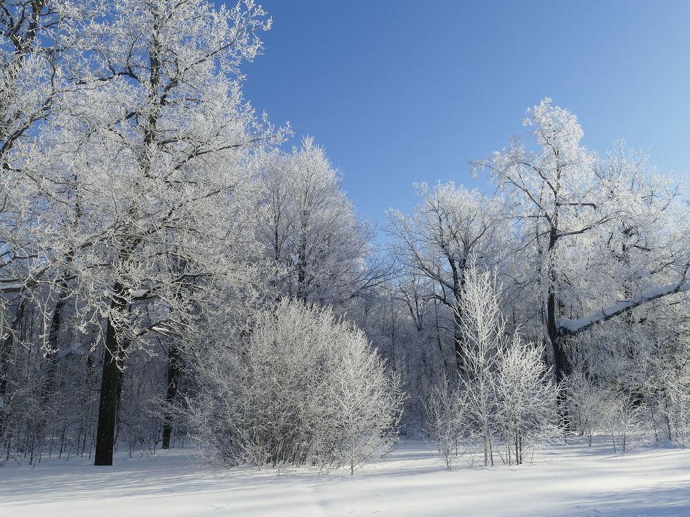 Photograph by Александр Кизим