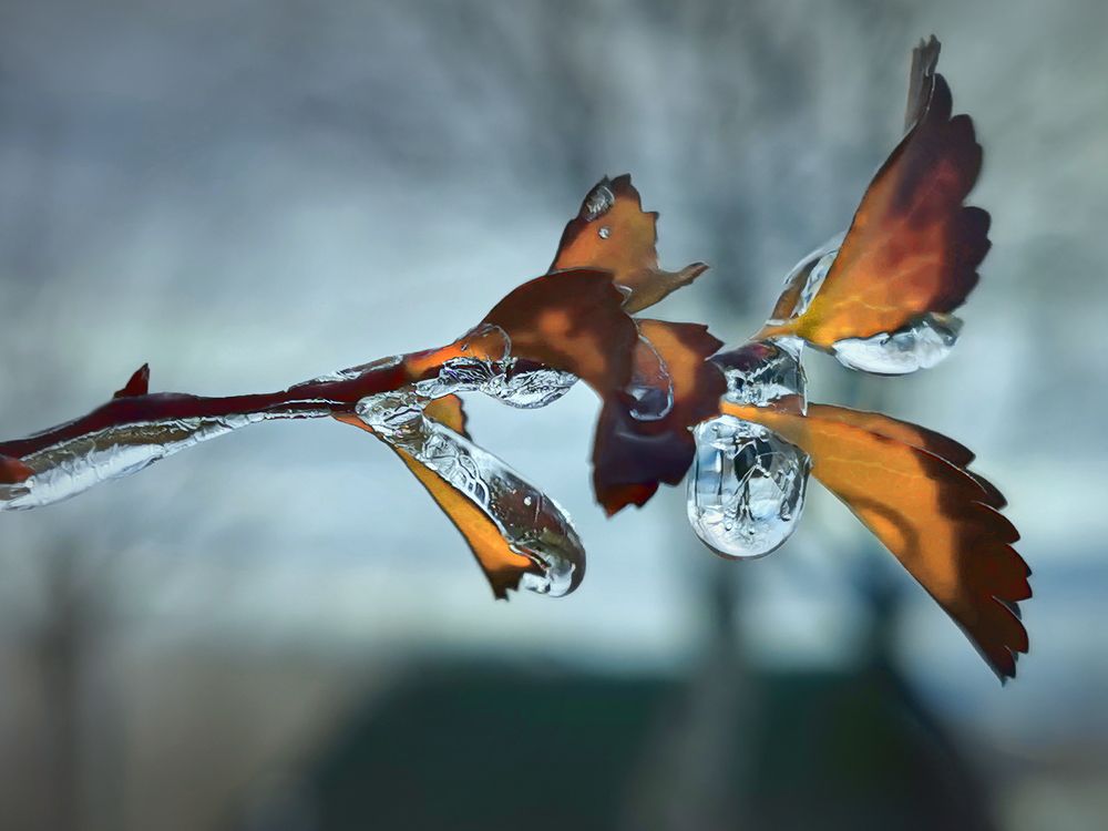 Дождик замерз.