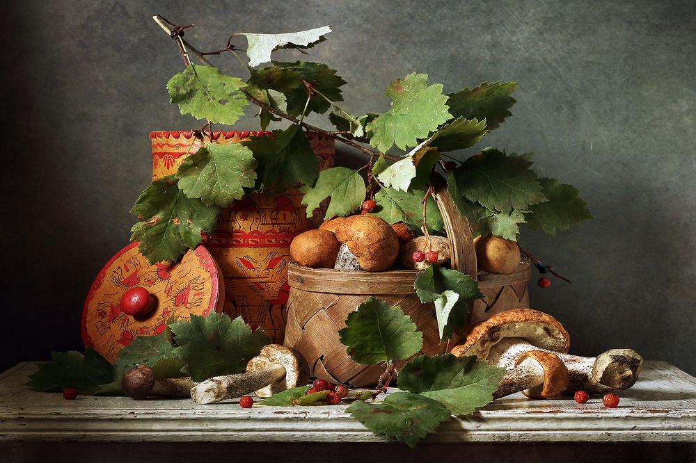 Подберезовики