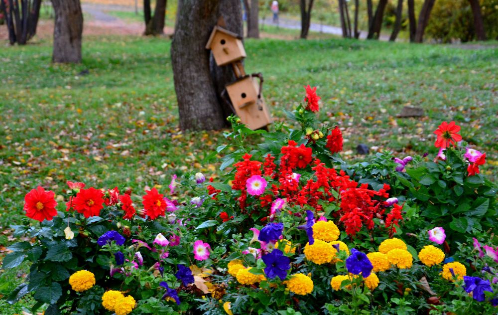 Photograph by Александр Каплан