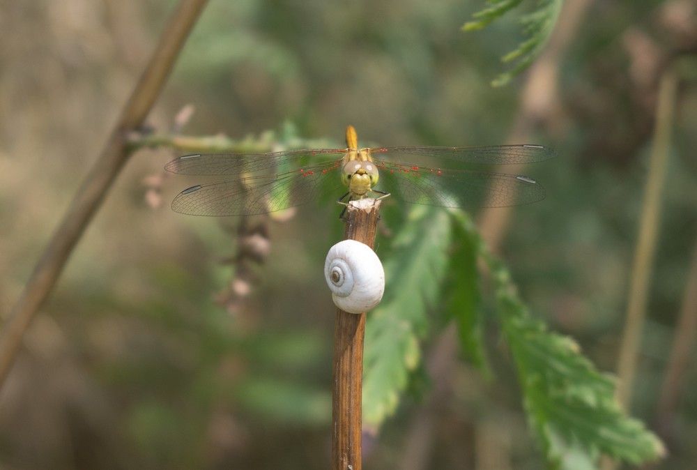 Photograph by Ксения Карижская