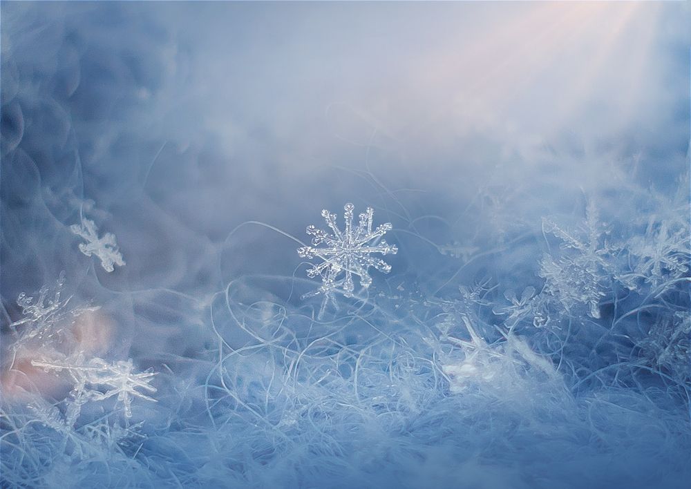 Photograph by Виктория Мамаева