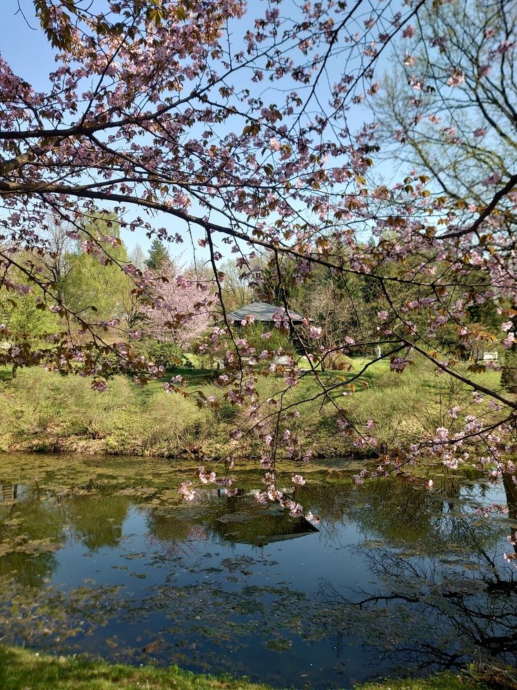 Photograph by Наталия Игоревна