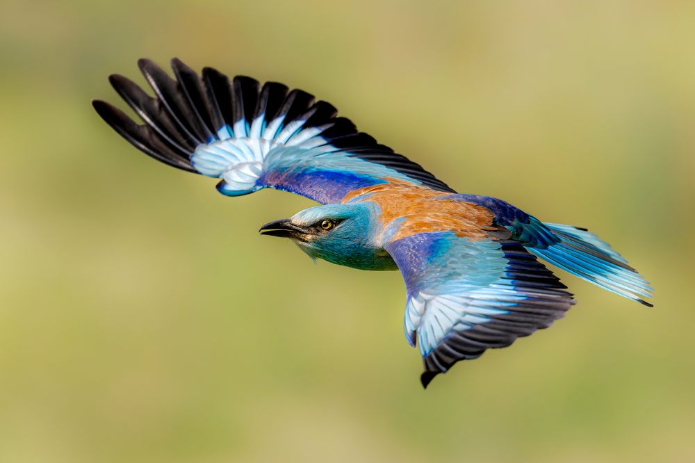 Photograph by Ruzhdi Ibrahimi