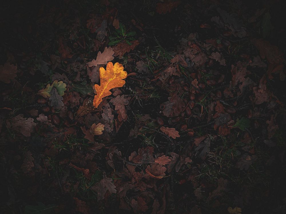 Фотография автора Павел Арсеев