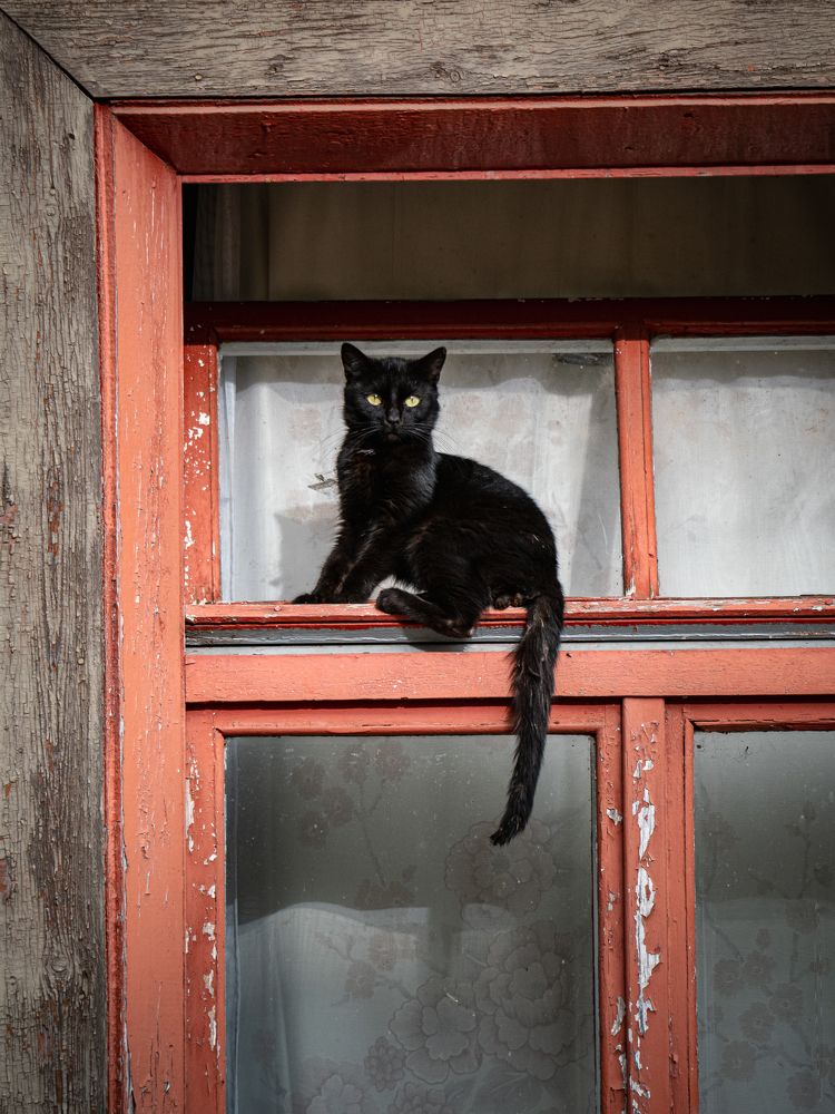 Фотография автора Артур Богородицкий