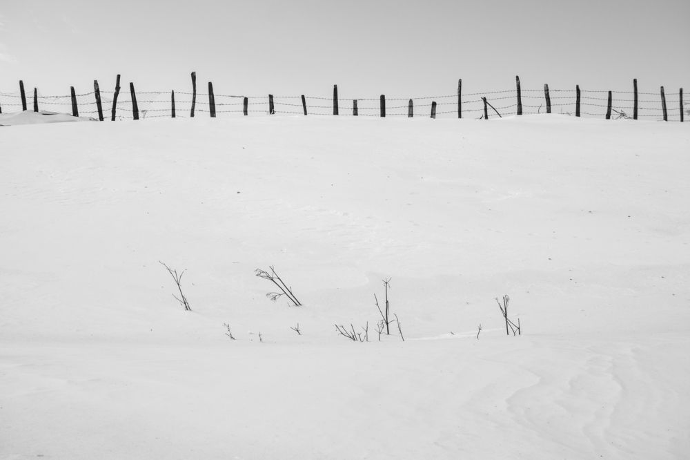 Photograph by Amirhossein Yousefi Keysari