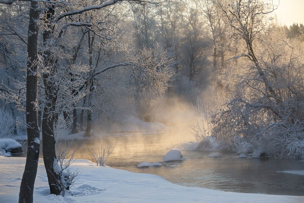 Фотография автора Денис Макаренко