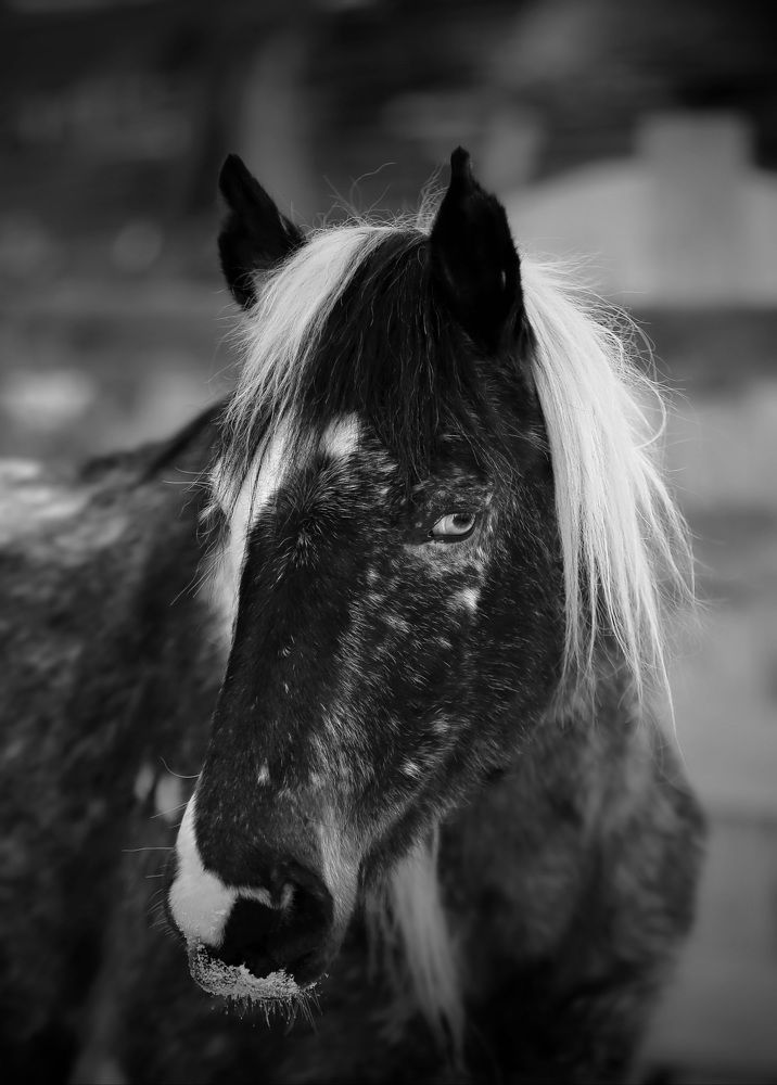 Photograph by Дмитрий Петухов