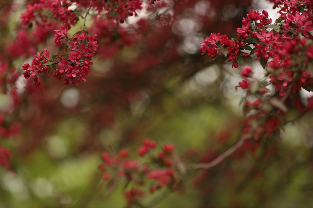 Photograph by Людмила Колесниченко