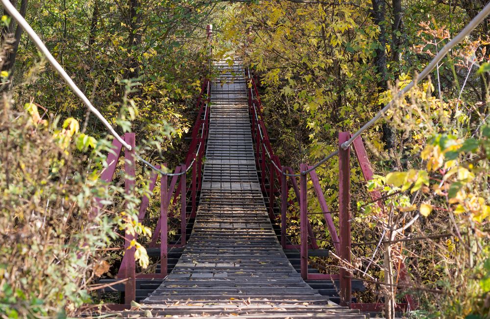 Photograph by Вячеслав