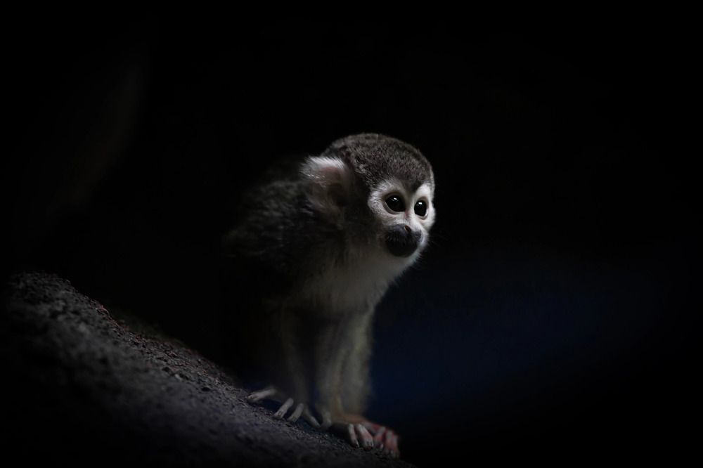 Photograph by Romanova Mariya