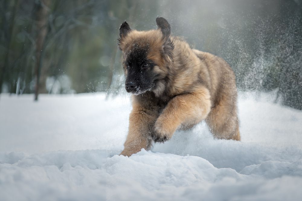 Photograph by Светлана Писарева