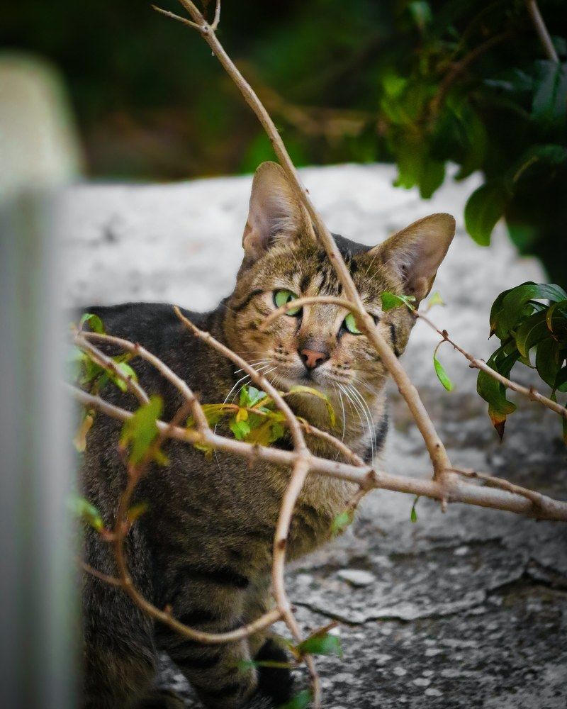 Photograph by George