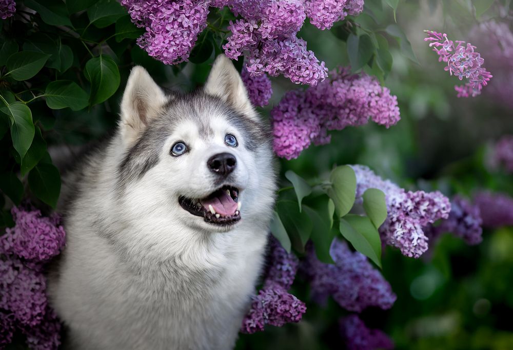 Photograph by Светлана Писарева