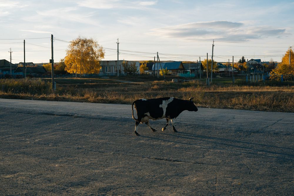 На закате