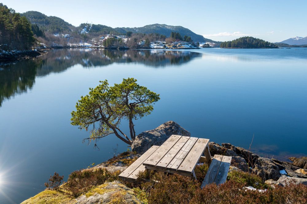 Photograph by Serhii Kravchenko