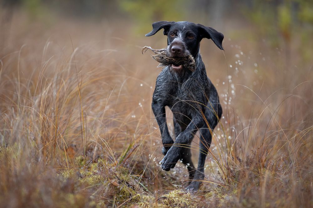 Photograph by Светлана Писарева